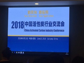 四川蜂窝活性炭参加中国活性炭行业交流会